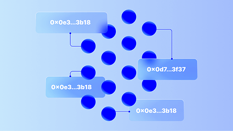 /products/identity/zero_knowledge/json_web_token.png